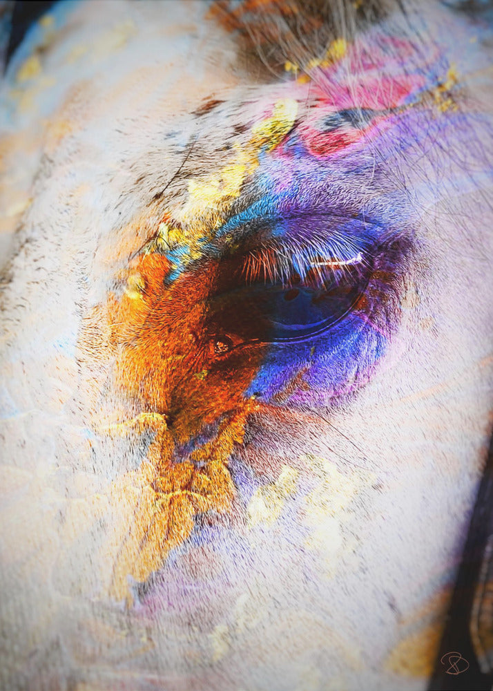 Painted Horse | Poster