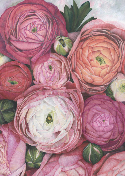 Arleth ranunculus bouquet in warm pink | Poster