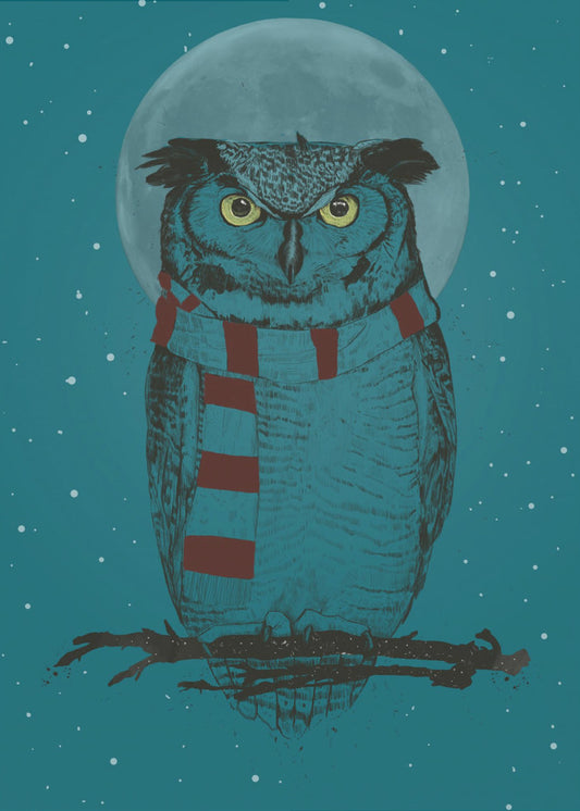 Winter owl | Poster