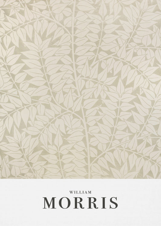 Branch | Canvas