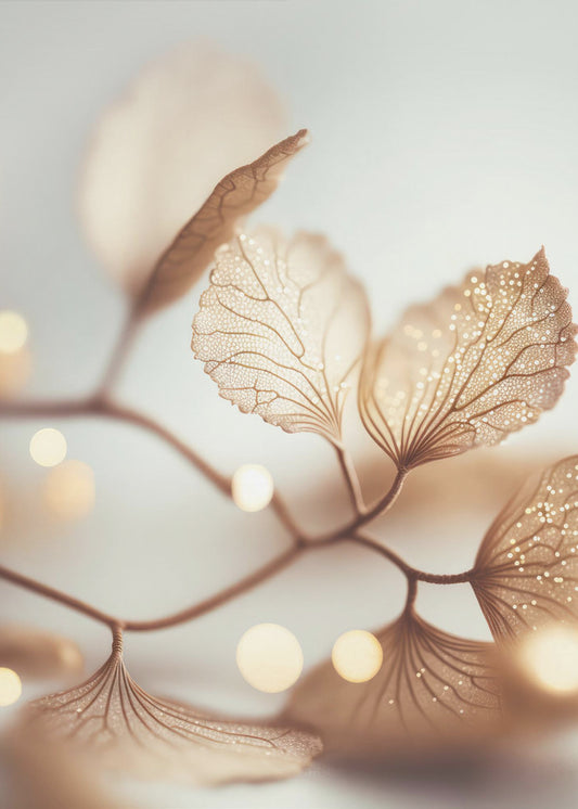 Fragile Elegance | Canvas
