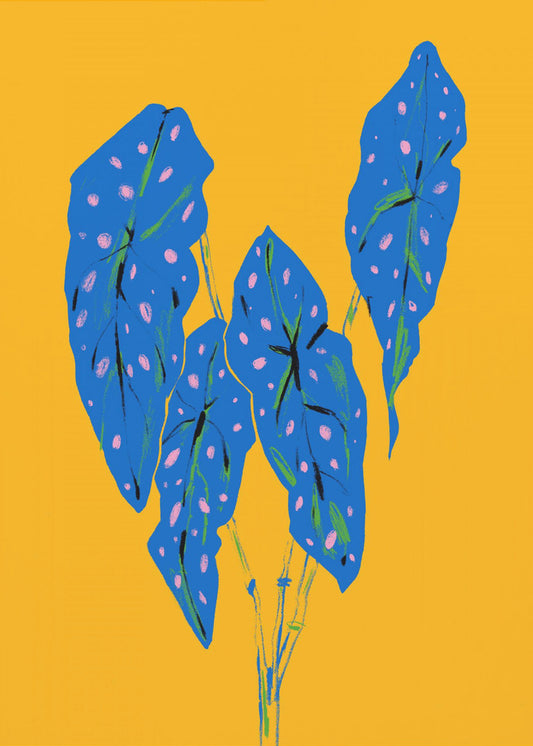 Begonia Maculata Blue and Yellow | Canvas