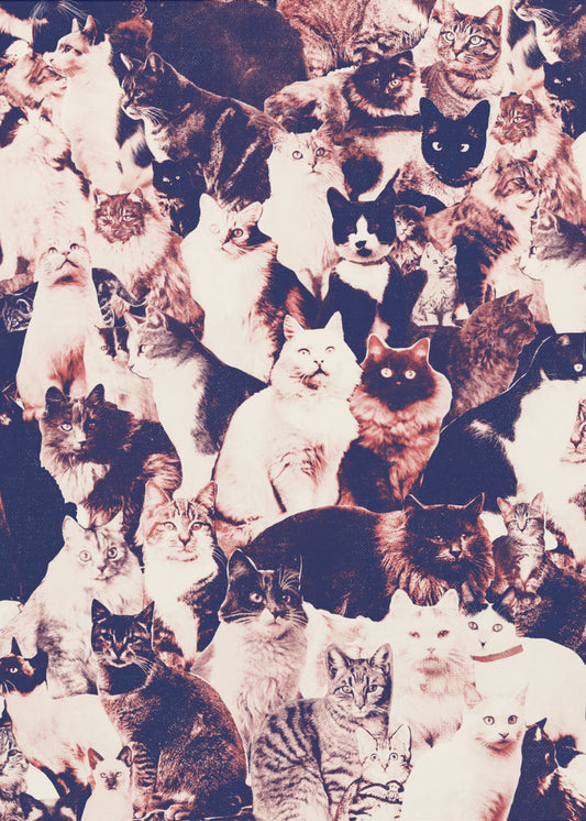 Cats Forever | Canvas