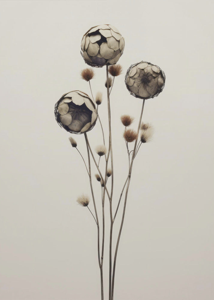 Ethereal Blooms | Canvas