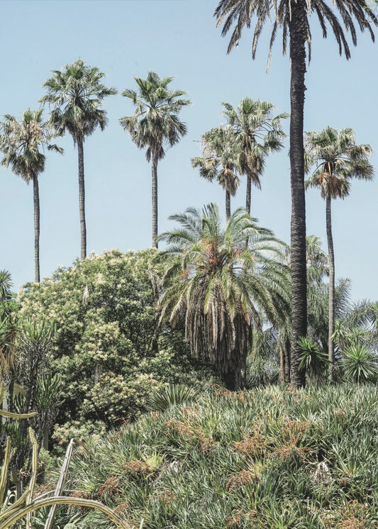 Tropical Serenity | Poster