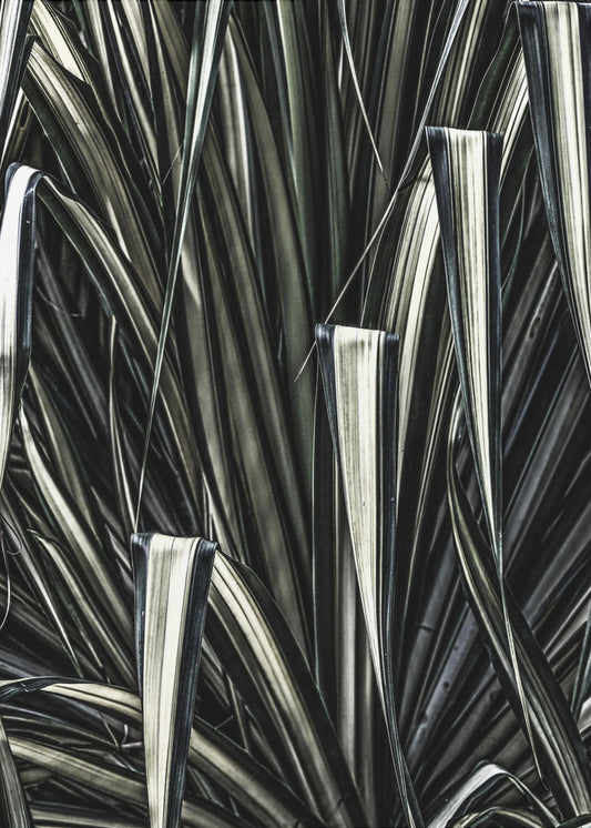 Verdant Stripes | Canvas