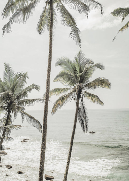 Serene Palm Coast | Poster