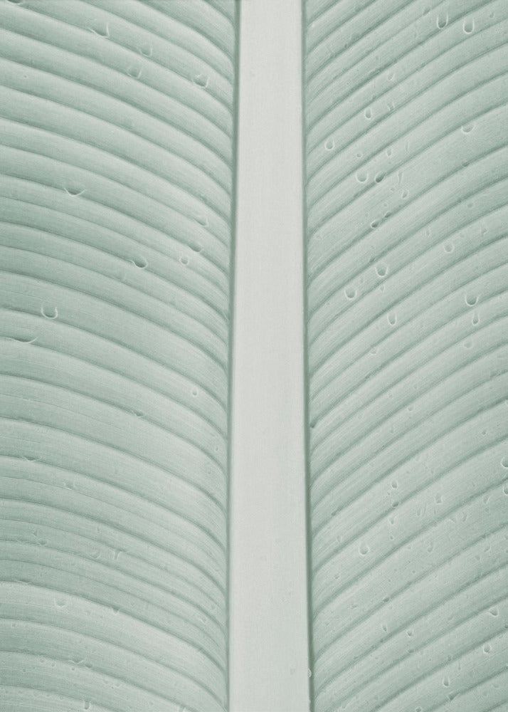 Tropical Veins | Poster