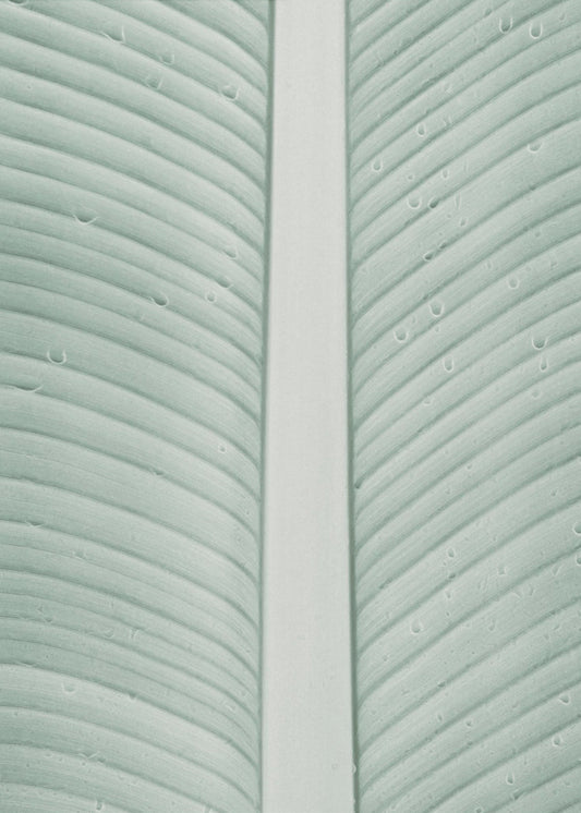 Tropical Veins | Poster