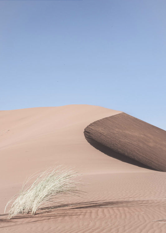 Desert Morningscape | Poster