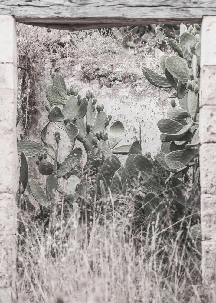 Desert Doorway Scene | Poster