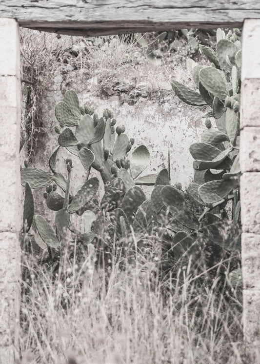 Desert Doorway Scene | Poster