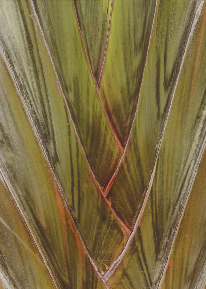 Verdant Vortex | Poster