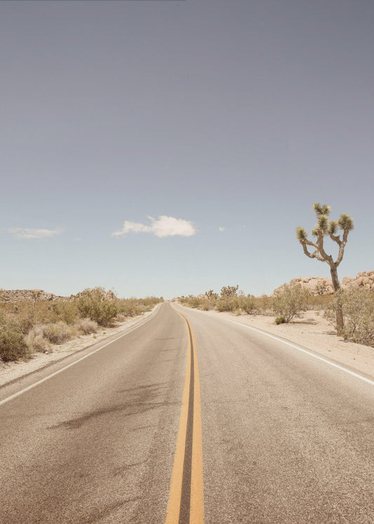 Deserted Highway | Poster