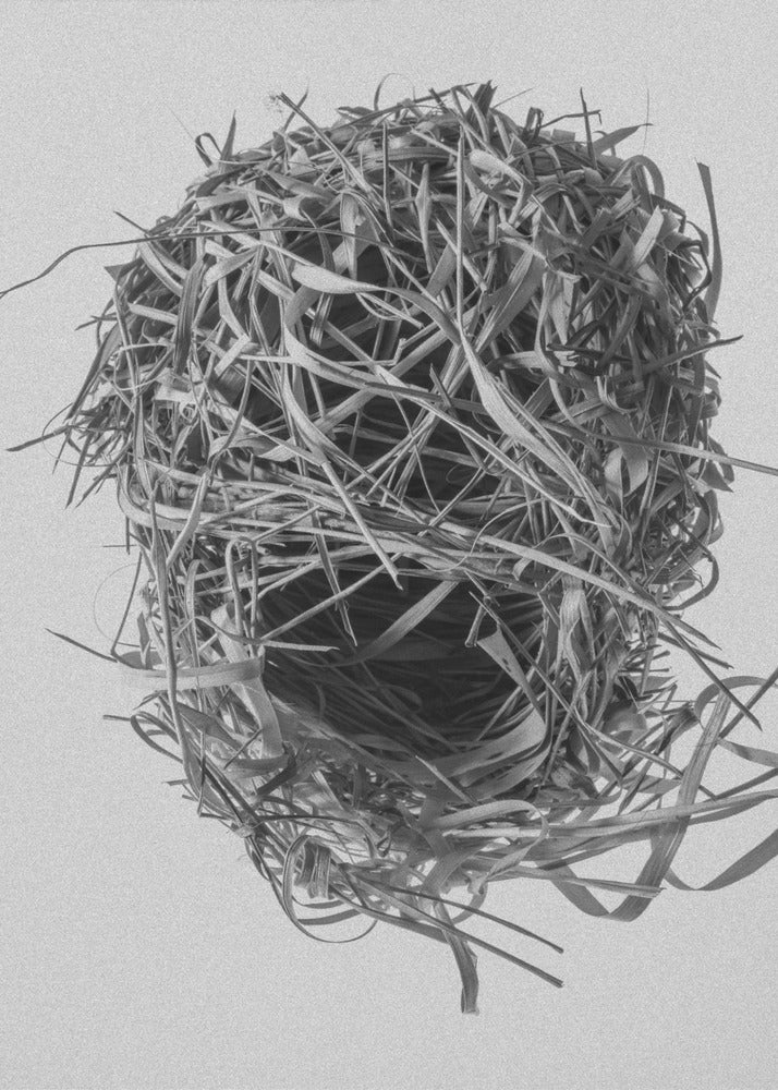 Weavers Nest | Poster