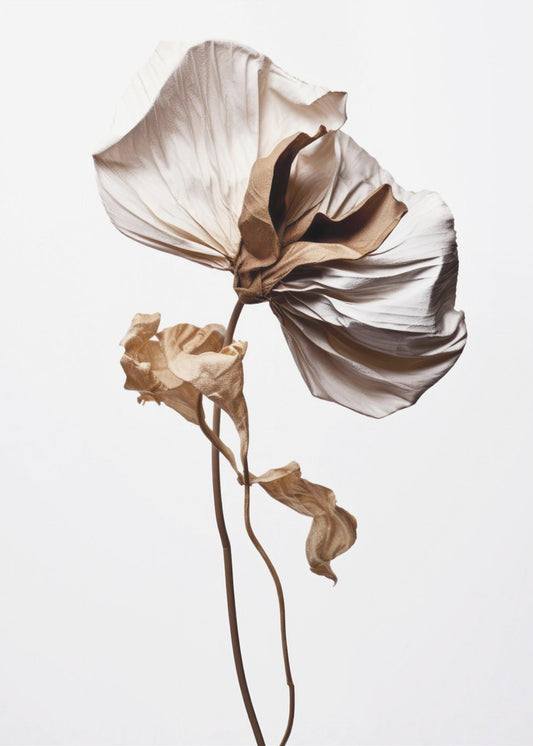 Whispering Petals | Poster