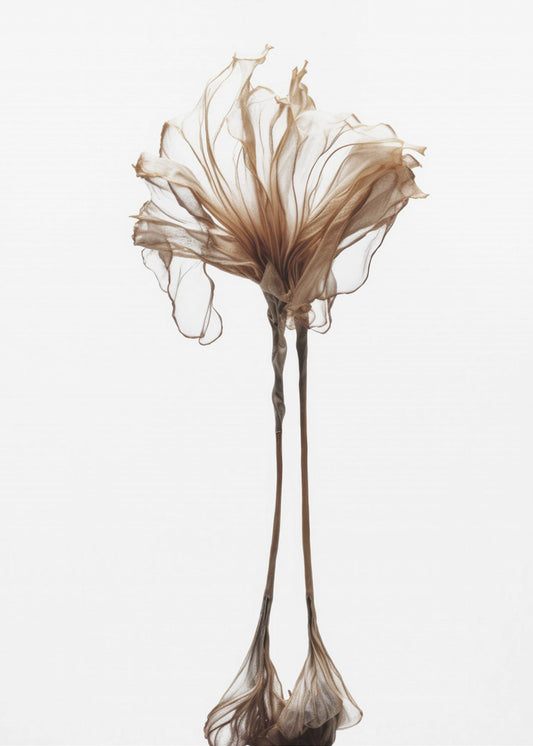 Delicate Whimsy | Poster