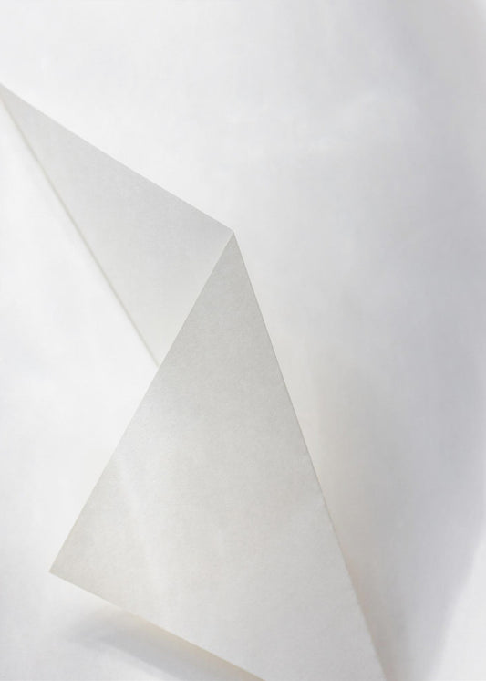 Paper Studies 18 | Canvas