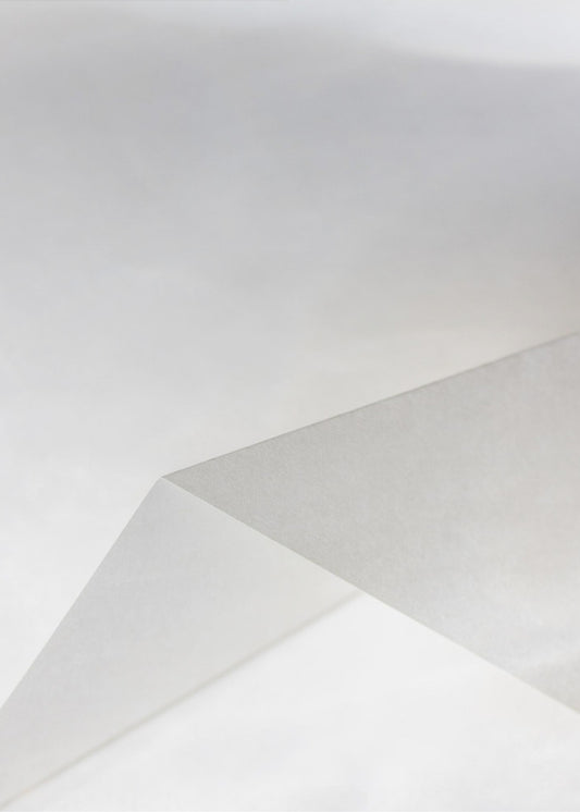 Paper Studies 19 | Canvas