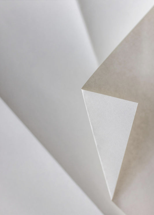 Paper Studies 21 | Canvas