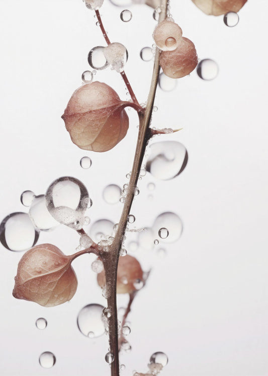 Bubbles and Blooms | Canvas