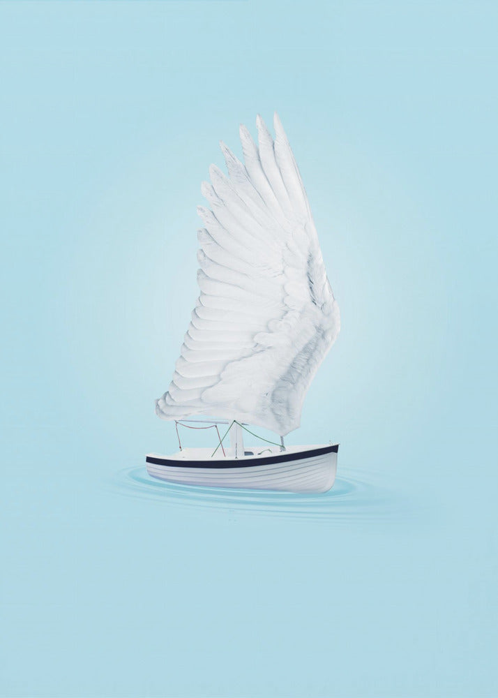 Wing Boat | Poster