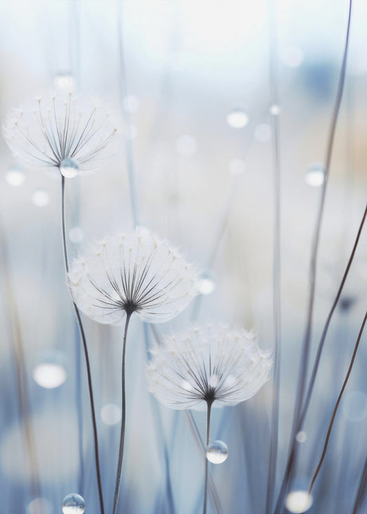 Whispering Seeds | Poster