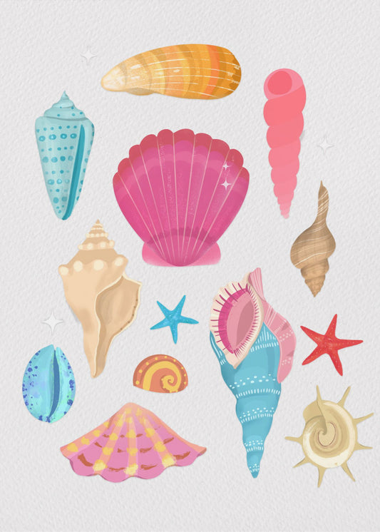 Seashells | Poster