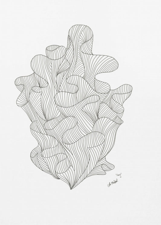 Coral Jpeg | Poster