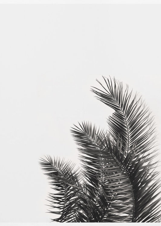 Palm Whisper | Canvas