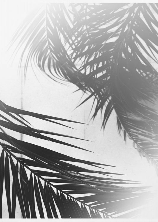 Palm Silhouettes | Canvas