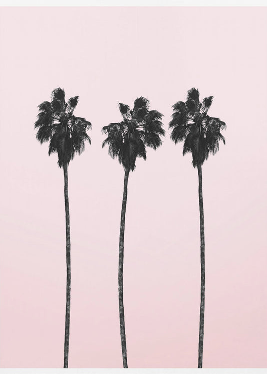 Three Tall Palms | Canvas