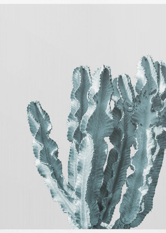 Cactus Elegance | Canvas