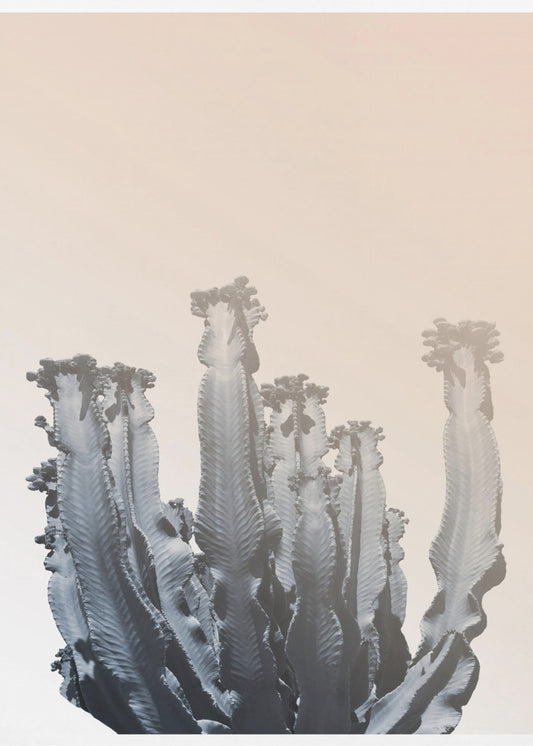 Cactus Silhouettes | Canvas