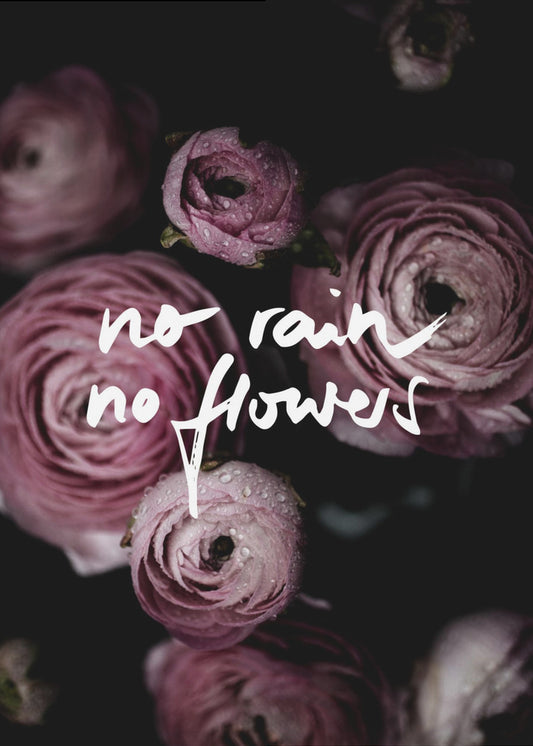No Rain No Flowers 2 | Canvas