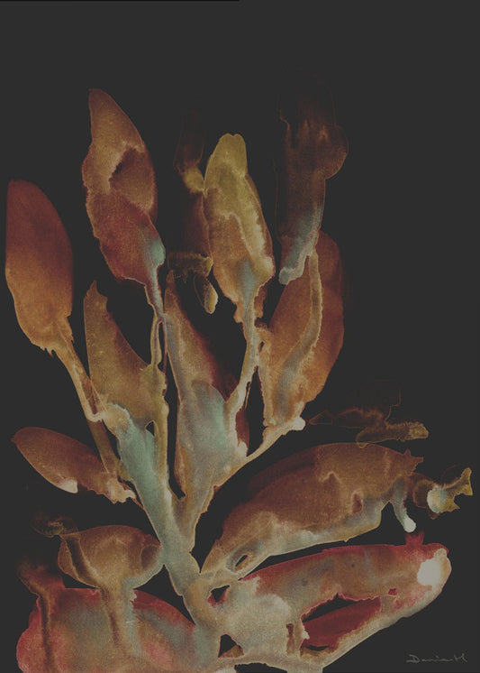 Night Plant | Canvas
