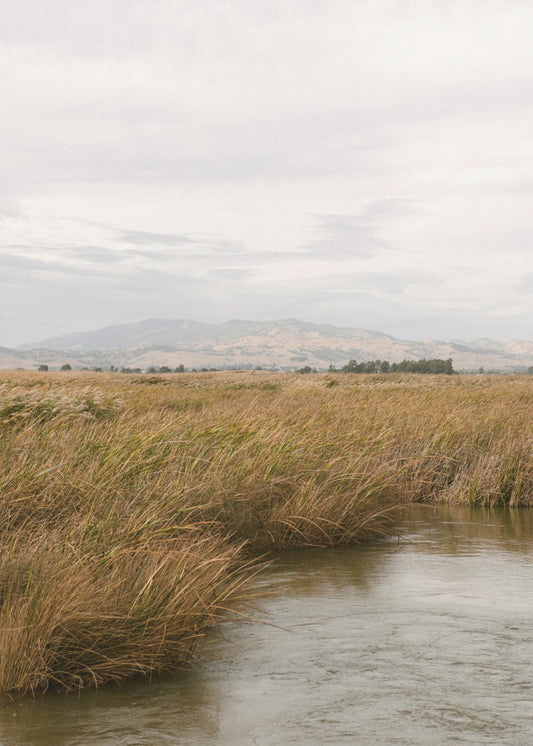 Marshland No.2 | Poster