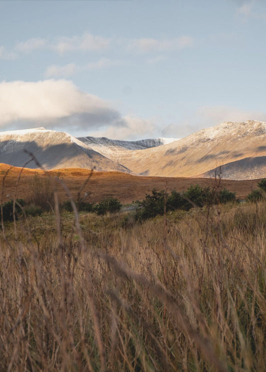 Highlands | Canvas