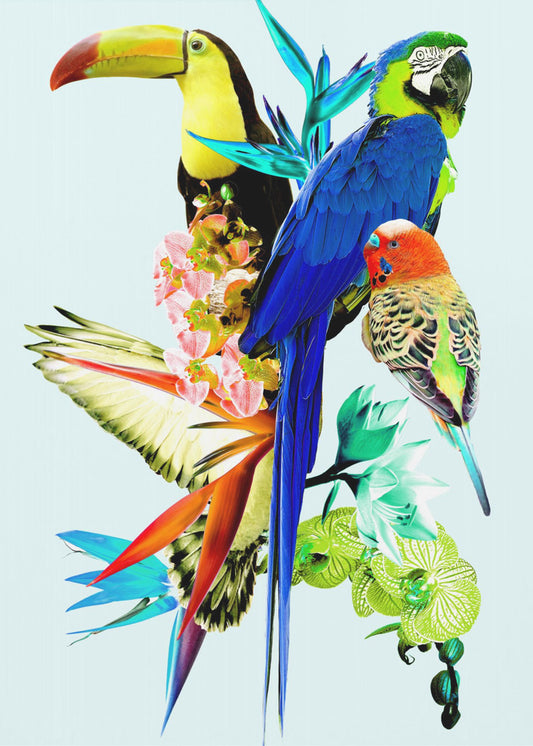 Birds of Paradise II | Canvas