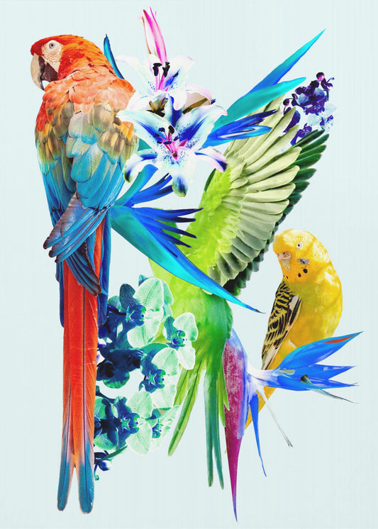 Birds of Paradise I | Canvas