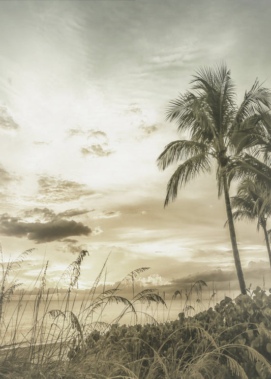 BONITA BEACH Vintage Sunset | Poster