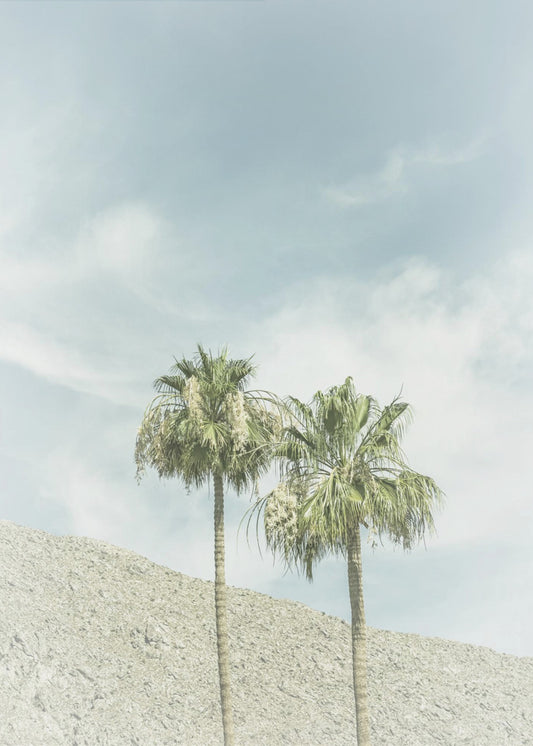 Vintage Palm Trees in the desert | Poster