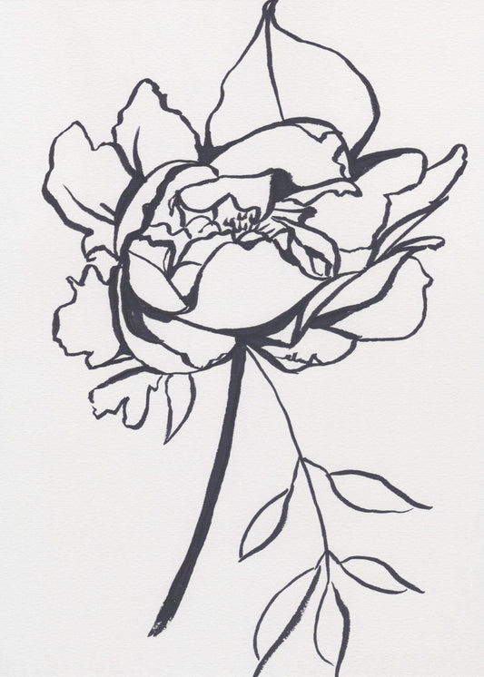 Black and White Peony | Canvas