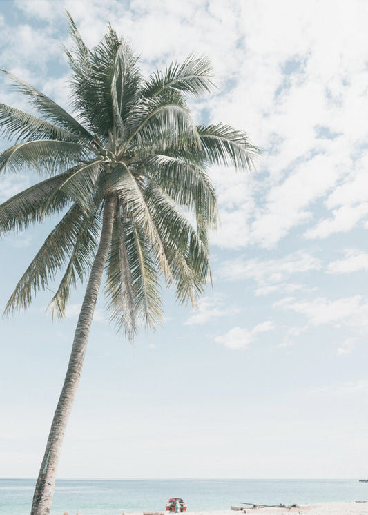 Palm tree at the beach 2 | Canvas