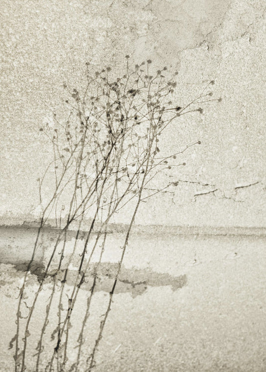 On the concrete | Canvas