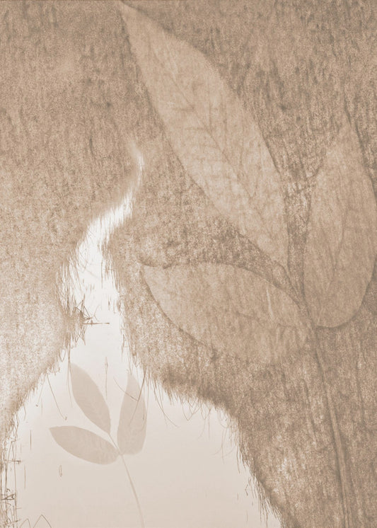 Water Mirror | Poster