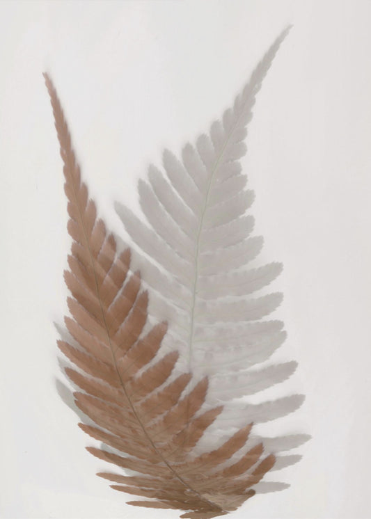 Autumn Fern | Canvas