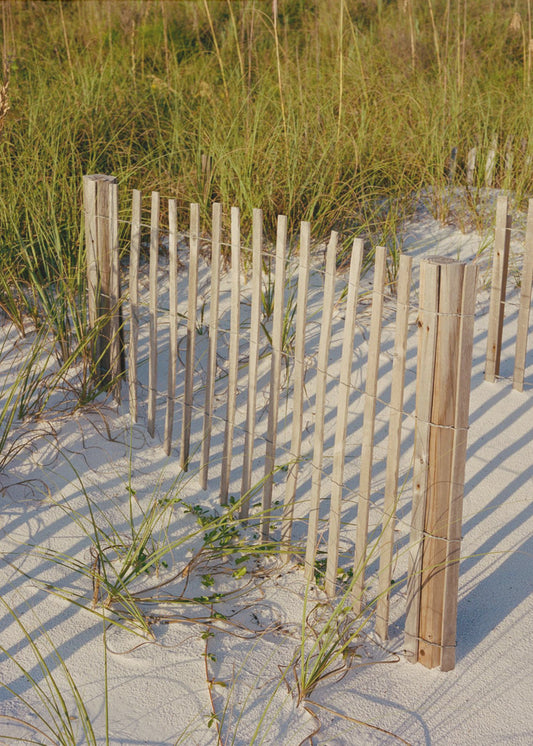 Walk On the Beach III | Poster