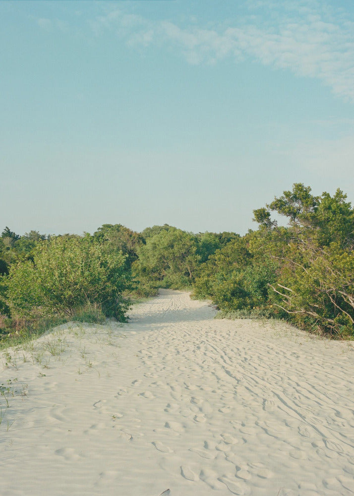 Sullivan&#039;s Island | Poster