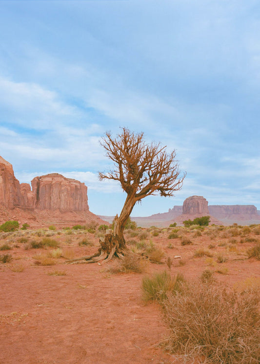Monument Valley XI | Poster